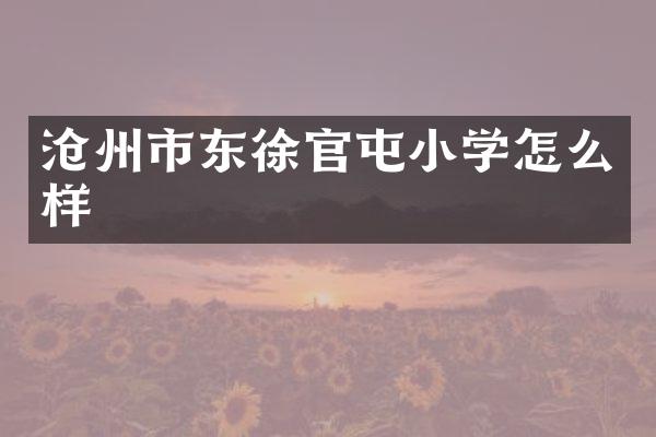 沧州市东徐官屯小学怎么样