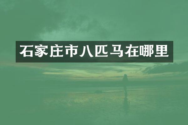 石家庄市八匹马在哪里