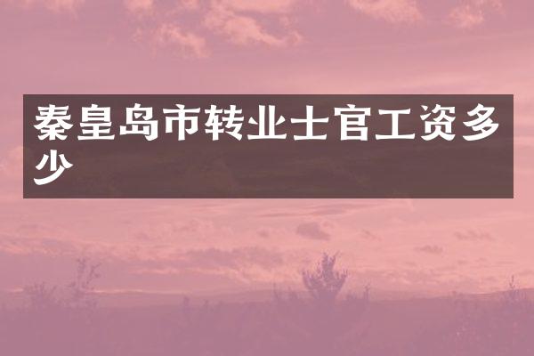 秦皇岛市转业士官工资多少