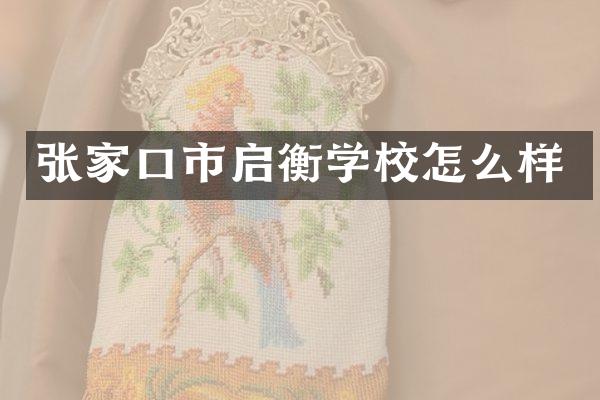 张家口市启衡学校怎么样