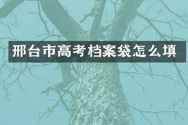 邢台市高考档案袋怎么填