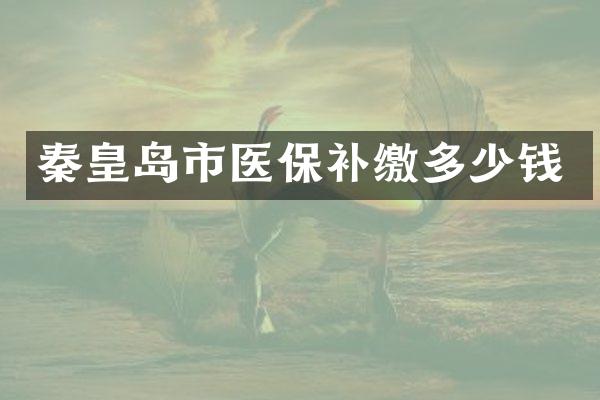 秦皇岛市医保补缴多少钱