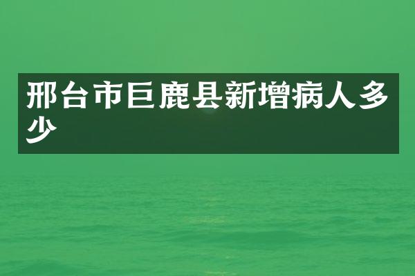 邢台市巨鹿县新增病人多少