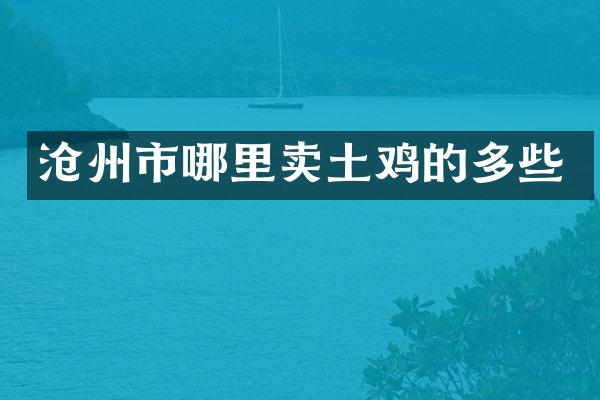 沧州市哪里卖土鸡的多些