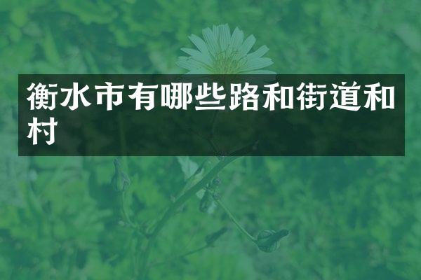 衡水市有哪些路和街道和村