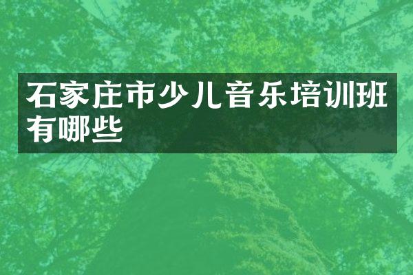 石家庄市少儿音乐培训班有哪些