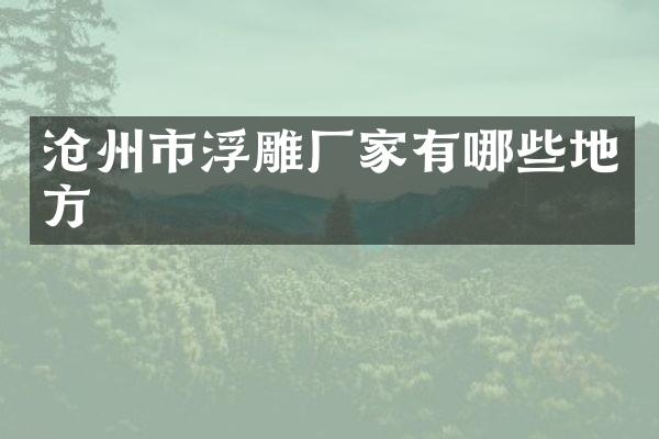 沧州市浮雕厂家有哪些地方
