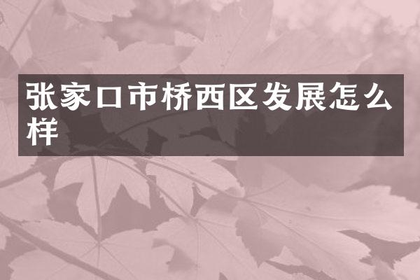张家口市桥西区发展怎么样
