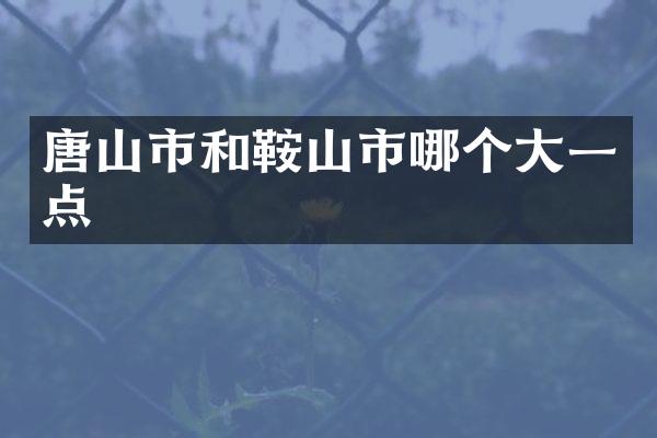 唐山市和鞍山市哪个大一点