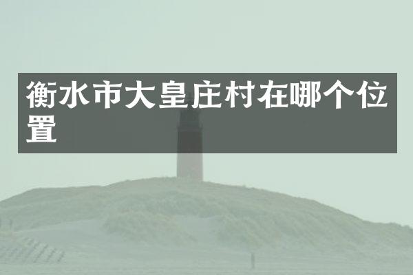 衡水市大皇庄村在哪个位置
