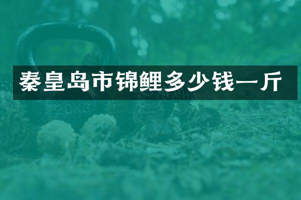 秦皇岛市锦鲤多少钱一斤