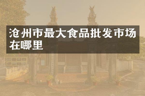 沧州市最大食品批发市场在哪里