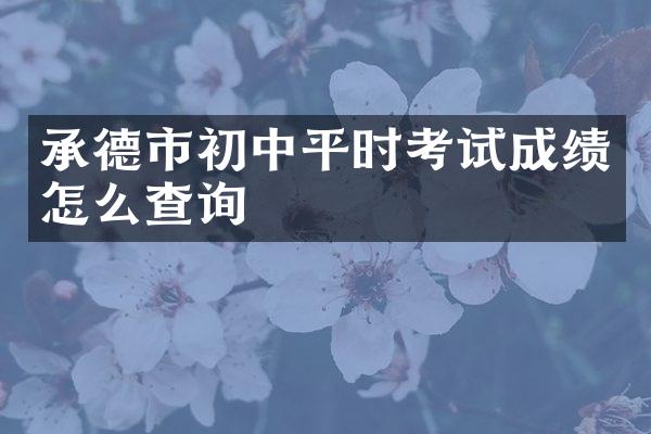 承德市初中平时考试成绩怎么查询