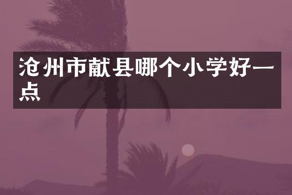 沧州市献县哪个小学好一点