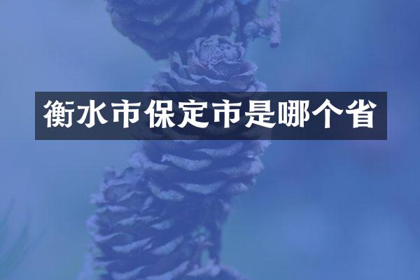 衡水市保定市是哪个省