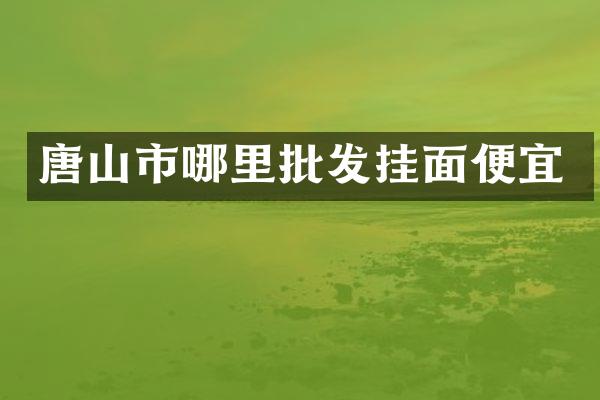 唐山市哪里批发挂面便宜