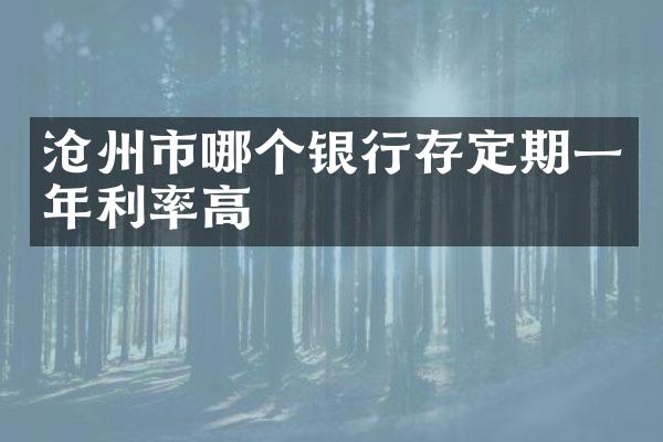 沧州市哪个银行存定期一年利率高
