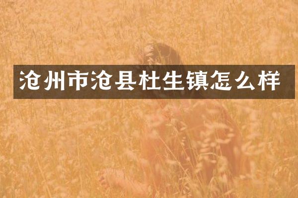 沧州市沧县杜生镇怎么样