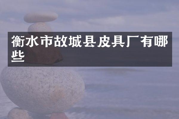 衡水市故城县皮具厂有哪些