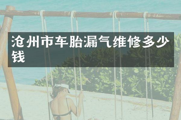 沧州市车胎漏气维修多少钱