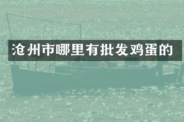 沧州市哪里有批发鸡蛋的