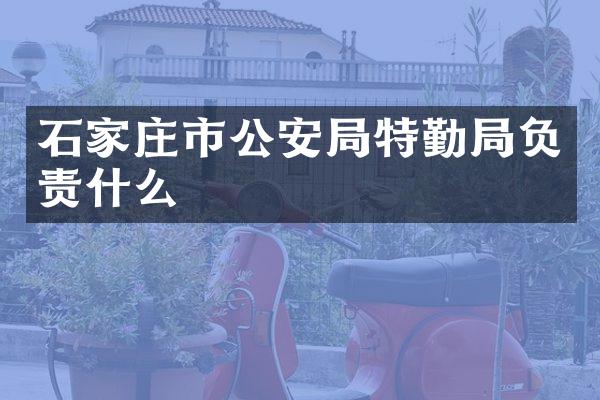 石家庄市公安局特勤局负责什么