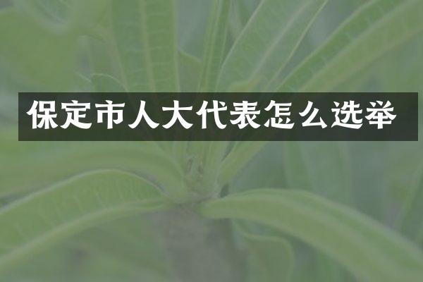 保定市人大代表怎么选举