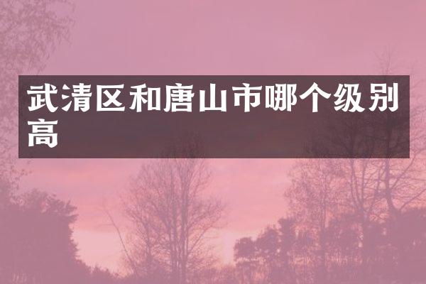 武清区和唐山市哪个级别高