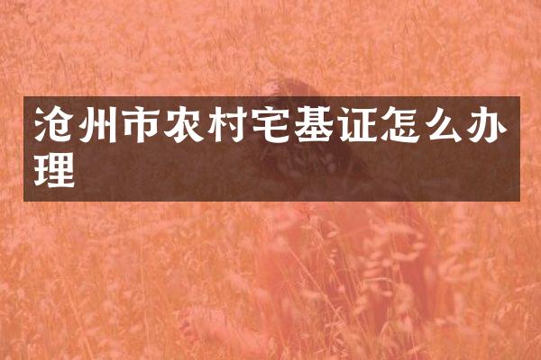 沧州市农村宅基证怎么办理