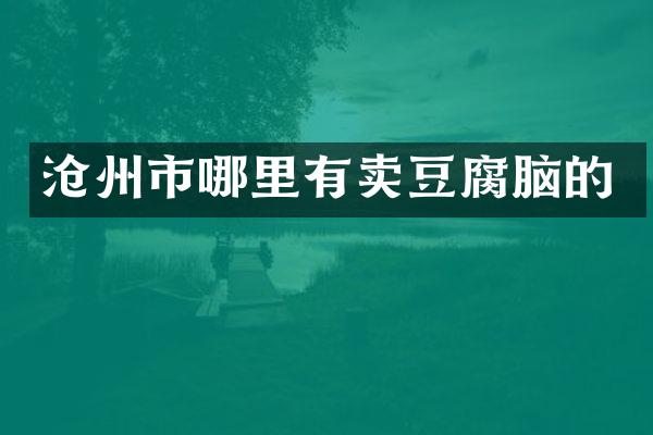 沧州市哪里有卖豆腐脑的