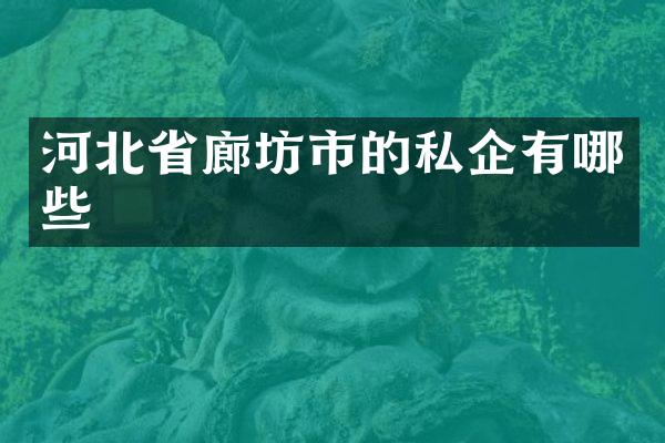 河北省廊坊市的私企有哪些