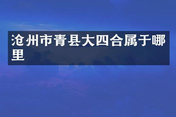 沧州市青县大四合属于哪里