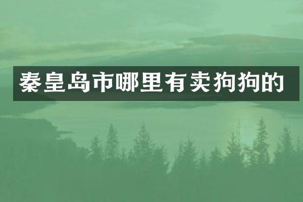 秦皇岛市哪里有卖狗狗的
