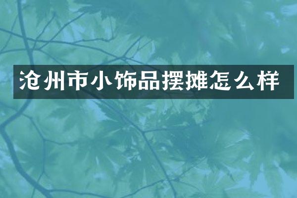 沧州市小饰品摆摊怎么样