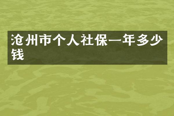 沧州市个人社保一年多少钱