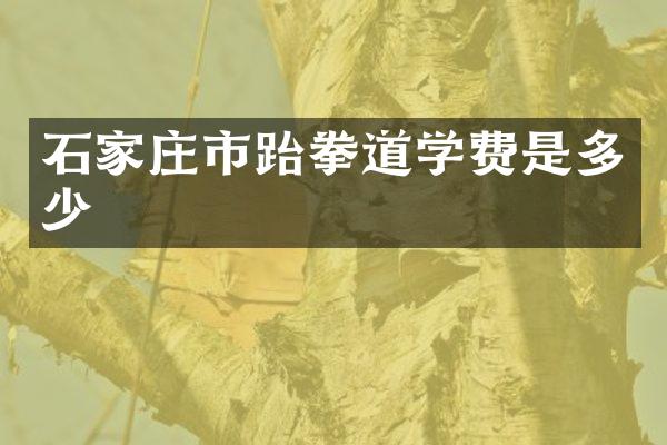 石家庄市跆拳道学费是多少