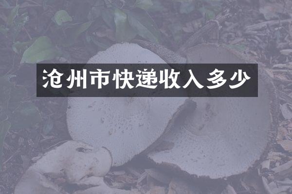 沧州市快递收入多少