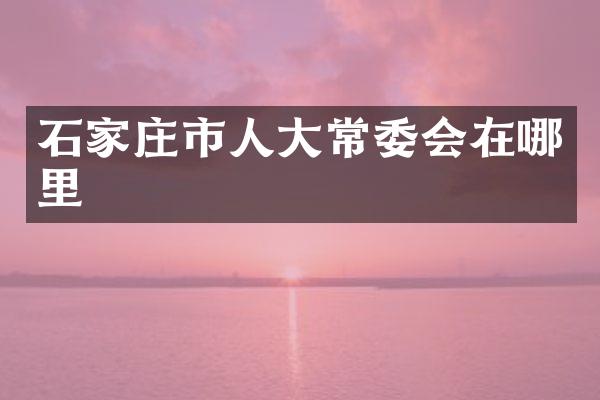石家庄市人大常委会在哪里