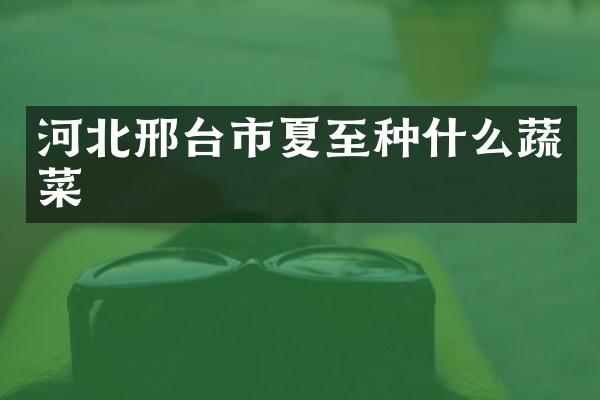 河北邢台市夏至种什么蔬菜