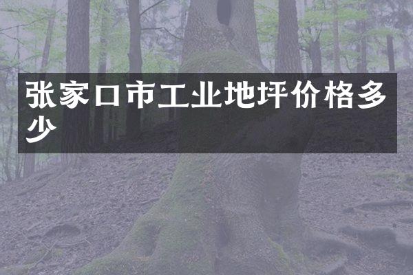 张家口市工业地坪价格多少