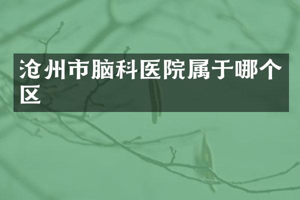 沧州市脑科医院属于哪个区