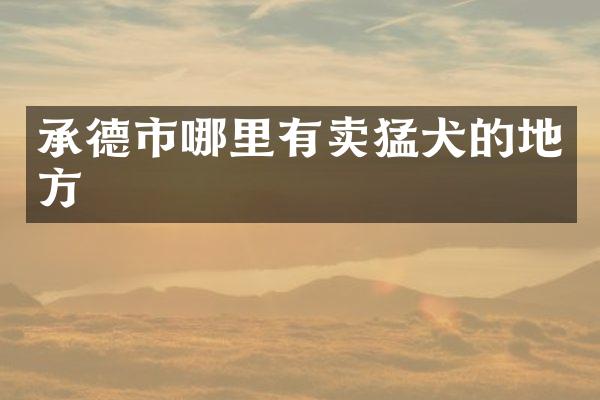 承德市哪里有卖猛犬的地方