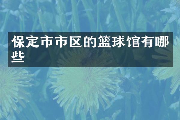 保定市市区的篮球馆有哪些