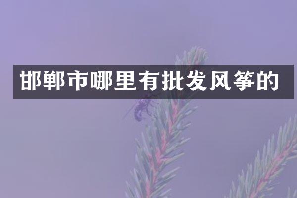 邯郸市哪里有批发风筝的