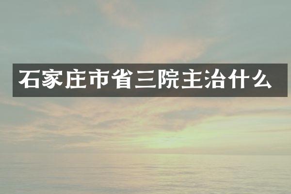 石家庄市省三院主治什么