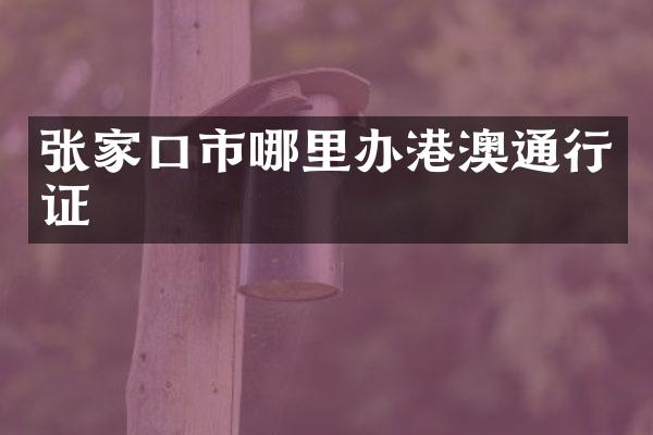 张家口市哪里办港澳通行证