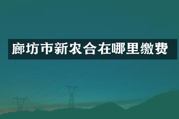 廊坊市新农合在哪里缴费