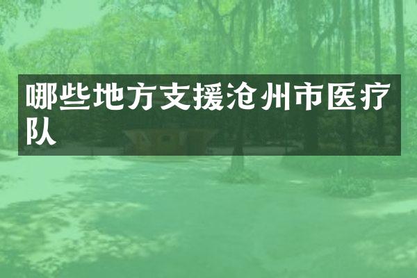 哪些地方支援沧州市医疗队