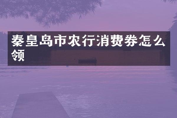 秦皇岛市农行消费券怎么领