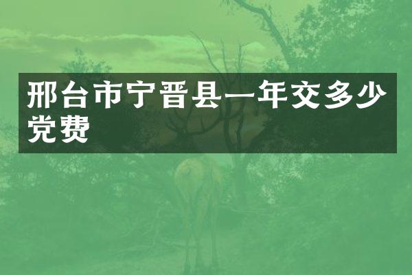 邢台市宁晋县一年交多少党费